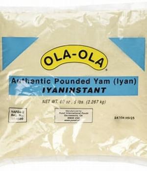 website template image