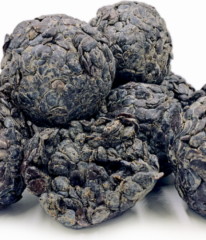 website template image