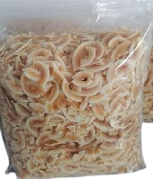 website template image