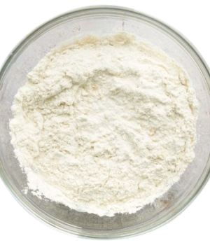 website template image