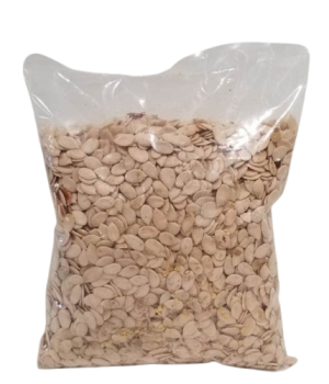 website template image