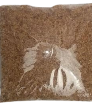 website template image