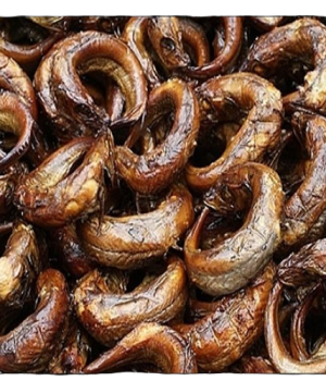 website template image